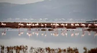 Bir Başka Aliağa' İçin Başvurular Başladı