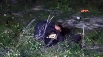 Konya Sevgilisinin Dini Nikahlı Eşi Tarafından Kalbinden Bıçaklanarak Öldürüldü