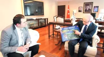 Bakan Açıkladı: Yüzde 80 Azaldı