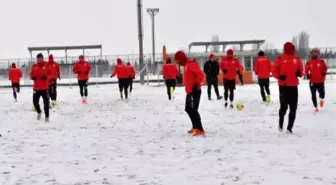 Balıkesirspor'un Saha Çilesi