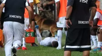 Brezilya'da Sıradışı Olay! Futbolcuyu Köpek Isırdı