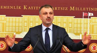 AK Parti'li Saral'dan 'Tokmak' Açıklaması