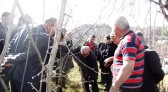 Fındıkta Verim İçin 'Tarla Okulu' Uygulaması