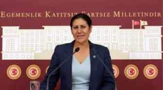 CHP'li Sakine Öz'den Ölüm Kavşağı ile İlgili Soru Önergesi