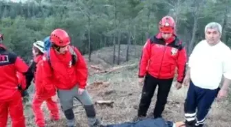 Muğla'da Mantar Ararken, Üzerine Tomruk Düştü