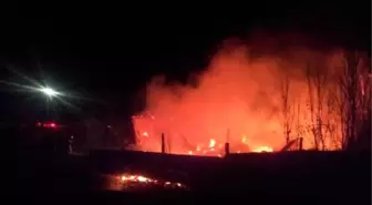 Yalnız Yaşadığı Evde Çıkan Yangında Öldü