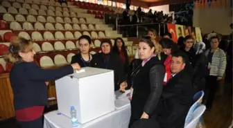 AK Parti Sandık Başına Gitti