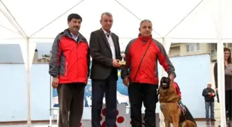 Can Dostların 'Hayat Kurtarma' Sınavı