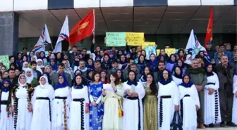 İdil'de İç Güvenlik Yasasına Kıyafetli Protesto