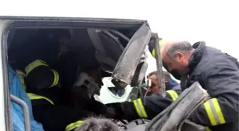 Kamyonda Can Pazarı