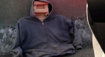 Man Busted Sneaking Into Hov Lane With Wooden Passenger