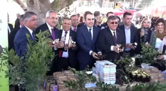Manavgat'ta İş Kadınları Fuarı Düzenlendi