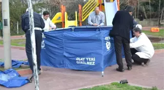 Osmaniye'de Cinayet
