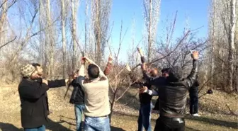 Iğdır'da 'Ağaç Budama Eğitimi' Verildi