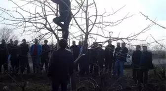 Tekirdağ'da Meyvecilik Eğitimi Düzenledi