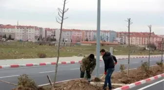 Kırklareli'de TOKİ Yolu Ihlamur Kokacak