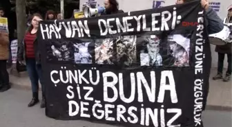 Köpek Nüfusu Yönetimi Konferansı Protesto Edildi