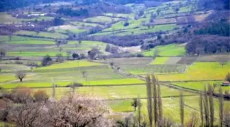 Kolin'in Santral Yeri Araması Dört Mahalleye Umut Oldu