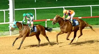 Atlar, Özgecan Aslan İçin Yarıştı