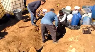 Elazığ Boru Hattı Delindi, Köylüler Mazotu Bidonla Götürdü