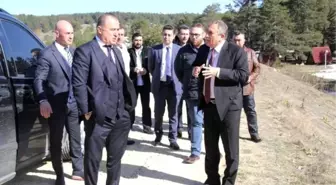 Fatih Terim Bolu'da Arazi İnceledi