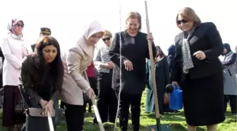 Bereket Ormanı'nda Bin Fidan Toprakla Buluştu