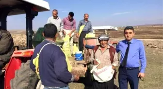 Kilis'te Meralara İlkbahar Gübresi Atıldı