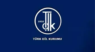 TDK Skandallarına Bir Yenisi Eklendi, TDK İfadesi Şaşkınlık Yarattı