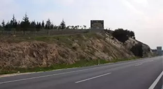 Cumhurbaşkanı Erdoğan Adına Hatıra Ormanı