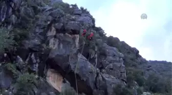 Kayalıklarda Mahsur Kalan Keçileri, Akut Kurtardı