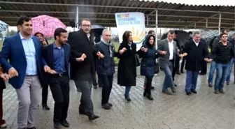 Diyarbakır'da DEDAŞ'tan Nevruz Kutlaması