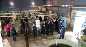 Erzurum Gazeteciler Cemiyeti'nden Balık-ekmek Şöleni