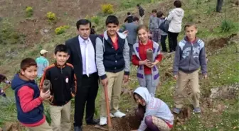 Ortaca'da Öğrenciler Bin Fidanı Toprak ile Buluşturdu