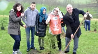 Sakarya Tema Vakfı Dünya Ormancılık Gününü Kutladı