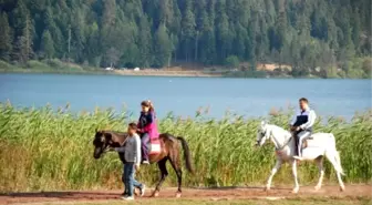 Abant Tabiat Parkına Yoğun İlgi