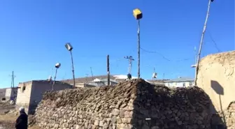 Mahallelilerin İlginç Kurt Savar Yöntemi