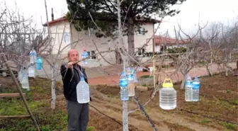 Ağaçlarına Su Dolu Pet Şişe Astı