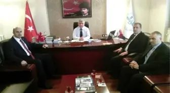 Kutlu Doğum Günü İçin Ortak Çalışma