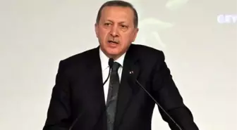 Uzmanlar Erdoğan'ın Tavrını Yorumladı: Çatışma Sistemden Kaynaklanıyor