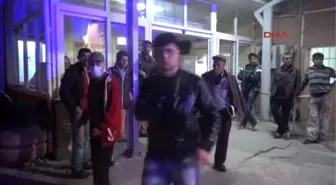Yatağan Domuz Gribi Şüphesiyle İzmir'e Nakledildi