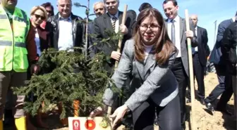 Bayan Vali, Cumhurbaşkanı ve Eşi İçin Fidan Dikti