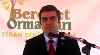 Bereket Ormanına 2 Bin Fidan Dikildi