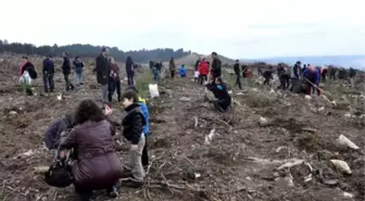 Çanakkale'de Bereket Ormanı Oluşturuldu