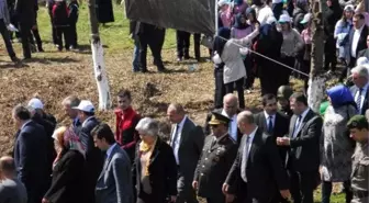 Düzce'de Bereket Ormanına Fidan Dikildi