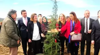 Gönül Elçileri Bereket Ormanı Projesi'