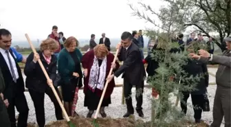 Manisa'da Gönül Elçileri 'Bereket Ormanı' Oluşturdu