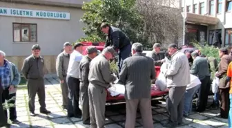 Vezirköprü'de 5 Bin Fidan Dağıtıldı