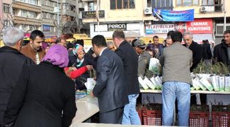 Elazığ'da Orman Haftası Kutlamaları