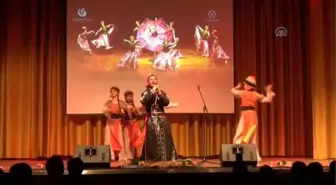 Yunus Emre Enstitüsü'nden Almanya'da Nevruz Programı