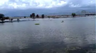 Aydın'da Baraj Kapakları Açıldı, Yollar ve Tarım Arazileri Göle Döndü